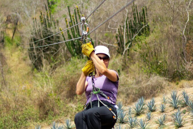 Ziplines and mezcal tasting - Price and Value: Is $99 a Fair Deal?
