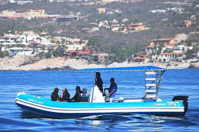ZODIAC Whale Watch Tour | Cabo San Lucas | Biologist | FREE Pics - Marine biologist onboard: what you’ll learn as the whales surface